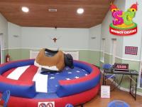 Sheffield and Chesterfield Bouncy Castles image 4